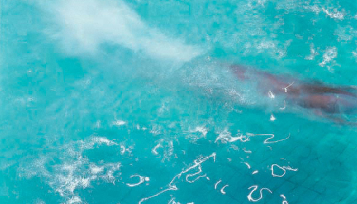 Burkhard Philipp von Harder | 'SWIMMERS' | NEW YORK