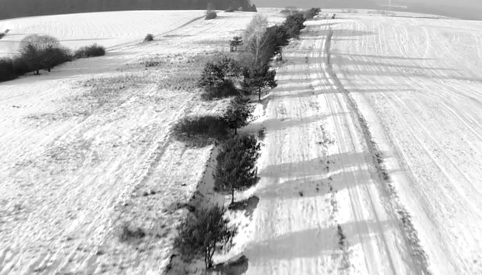 Burkhard Philipp von Harder | 'NARBE DEUTSCHLAND | SCAR GERMANY' | Palais de Tokyo / Paris