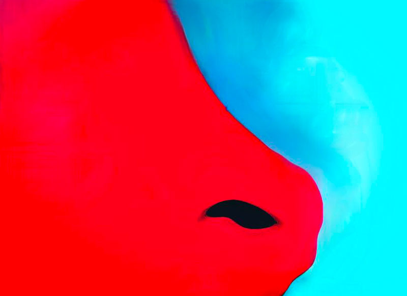 Burkhard Philipp von Harder is Winner & nominee of the 17th International Color Award