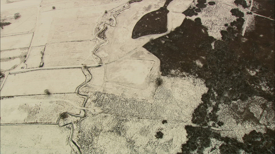 Burkhard Philipp von Harder | PART I: NARBE BERLIN | SCAR BERLIN | QUAD FILM FESTIVAL | NEW YORK