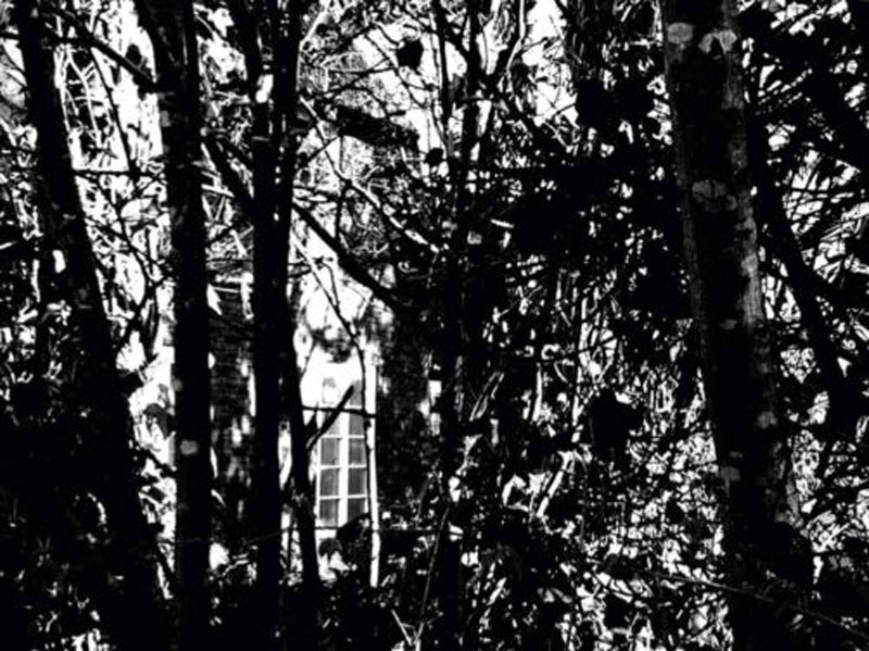 Burkhard Philipp von Harder Artikel Die Stilisten | Sylt | Welt